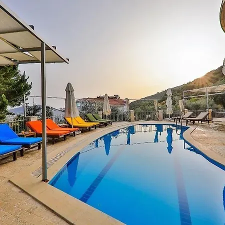 فيلة Kalamar Kalkan'da 14 Kisilik