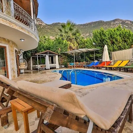 Kalamar Kalkan'da 14 Kisilik * كاس
