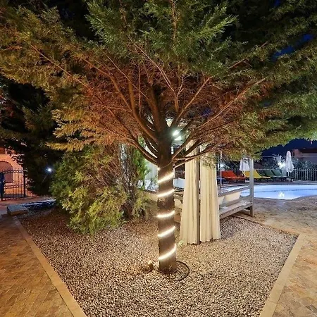 Kalamar Kalkan'da 14 Kisilik * كاس